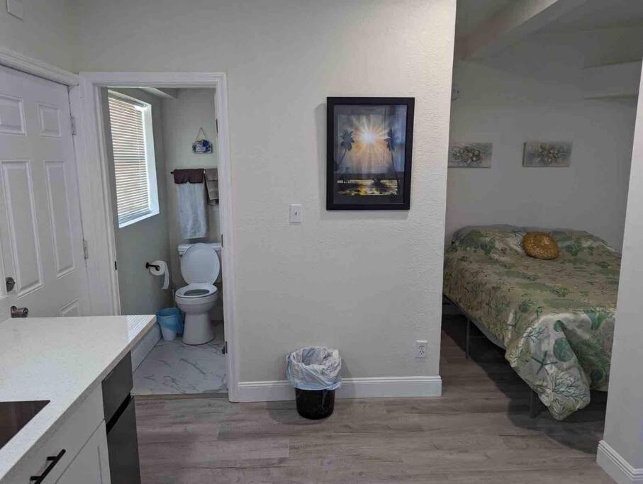 Renovate Large Studio 21-Directly Across Beach St. Pete Beach Eksteriør bilde